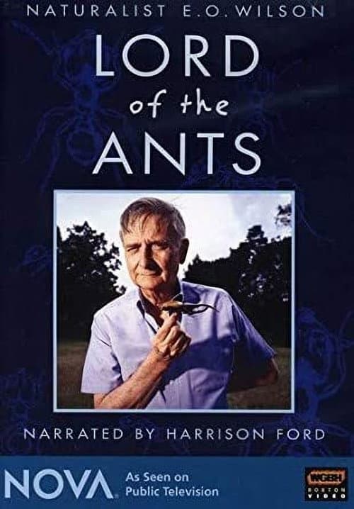 Poster for Lord of the Ants