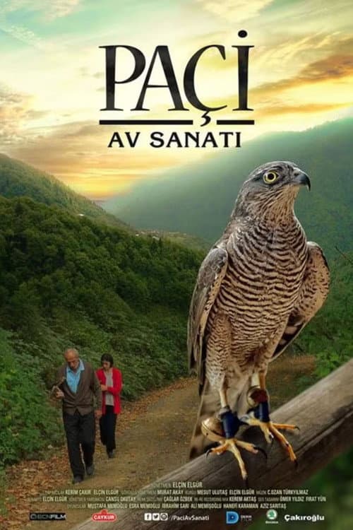 Poster for Paçi: Av Sanatı
