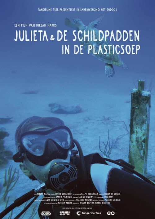 Poster for Julieta & the Turtles in the Plastic Soup
