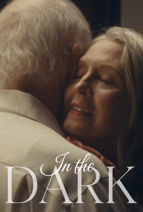 Poster for In The Dark