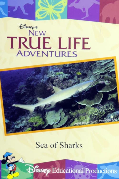 Poster for Sea of Sharks