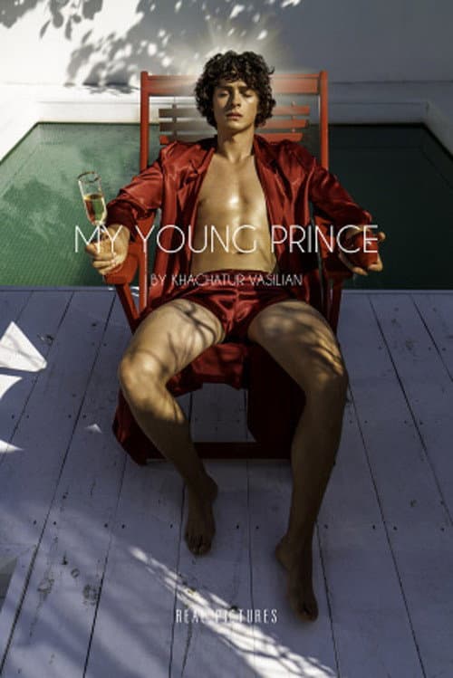 Poster for My Young Prince