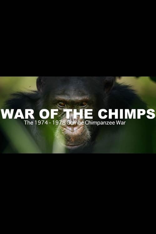 Poster for World War Chimp | The Brutal 1974 - 1978 Gombe Chimpanzee War: Documentary