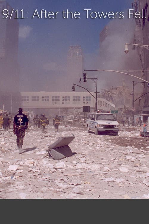 Poster for 9/11: After The Towers Fell