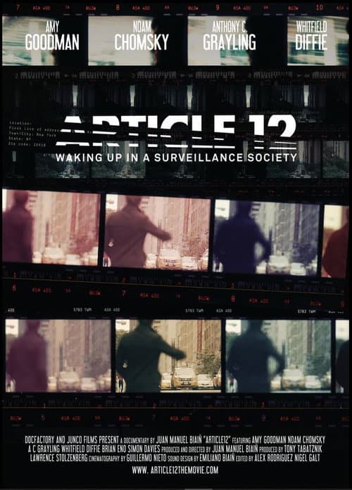Poster for Article 12