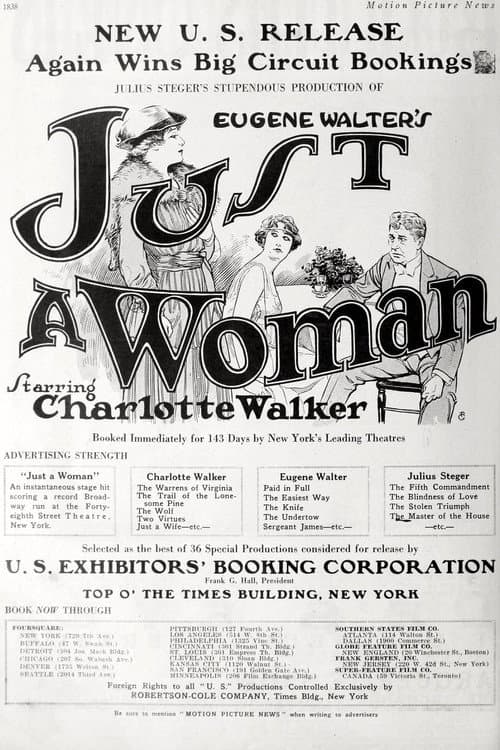 Poster for Just a Woman