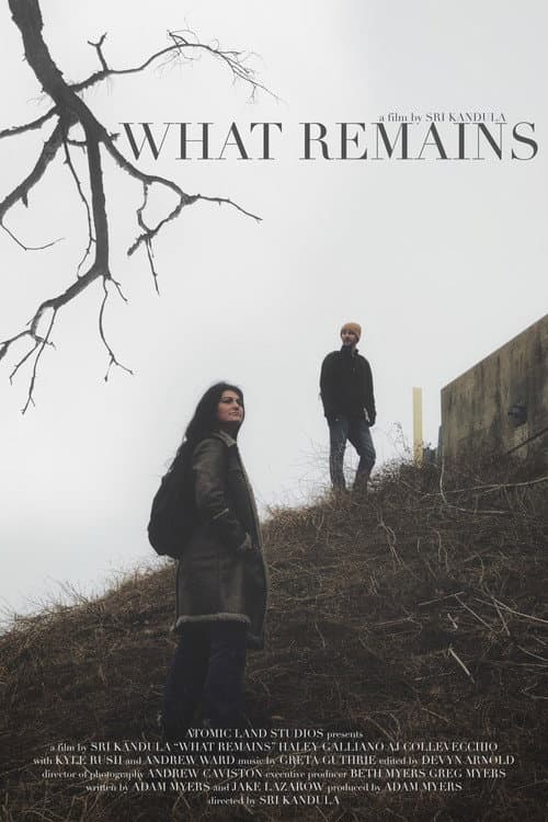 Poster for What Remains
