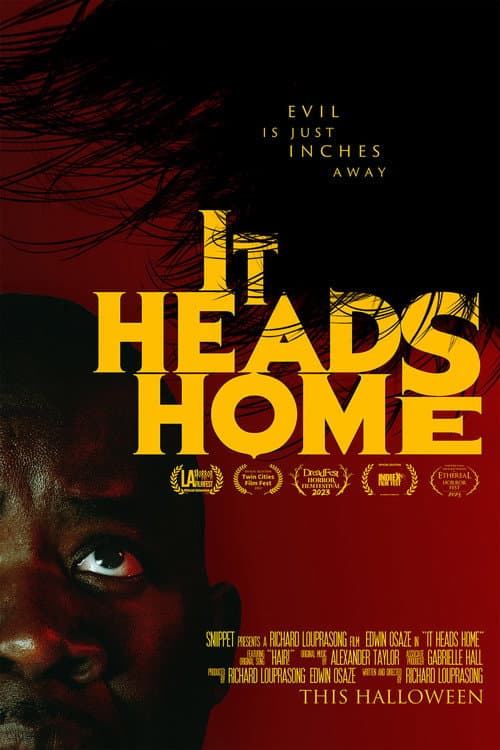 Poster for It Heads Home