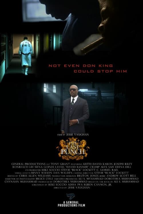 Poster for The Last Punch