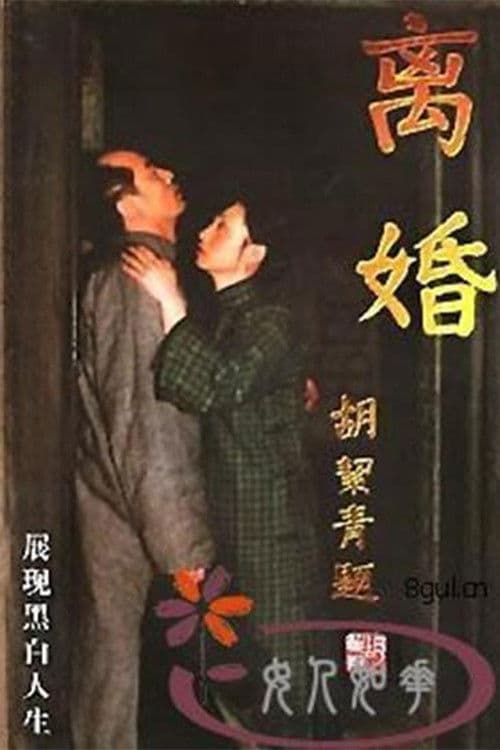 Poster for 离婚