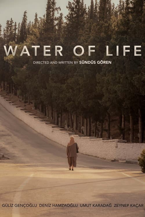Poster for Water of Life