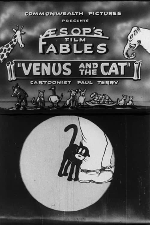 Poster for Venus and the Cat