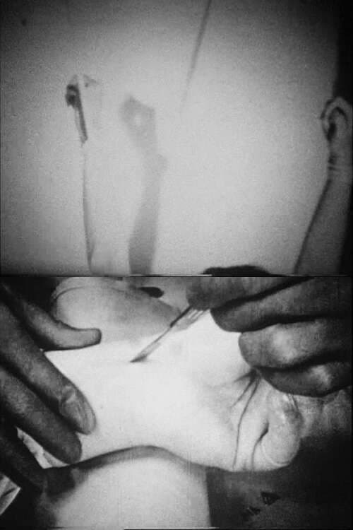 Poster for Blicklust