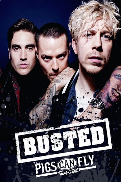 Poster for Busted: Pigs Can Fly Tour 2016