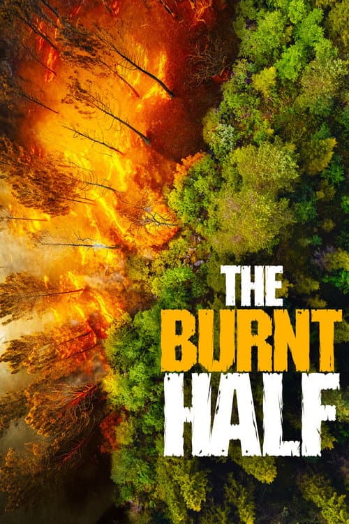 Poster for The Burnt Half