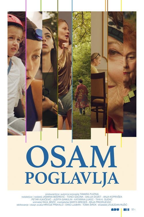 Poster for Eight Chapters