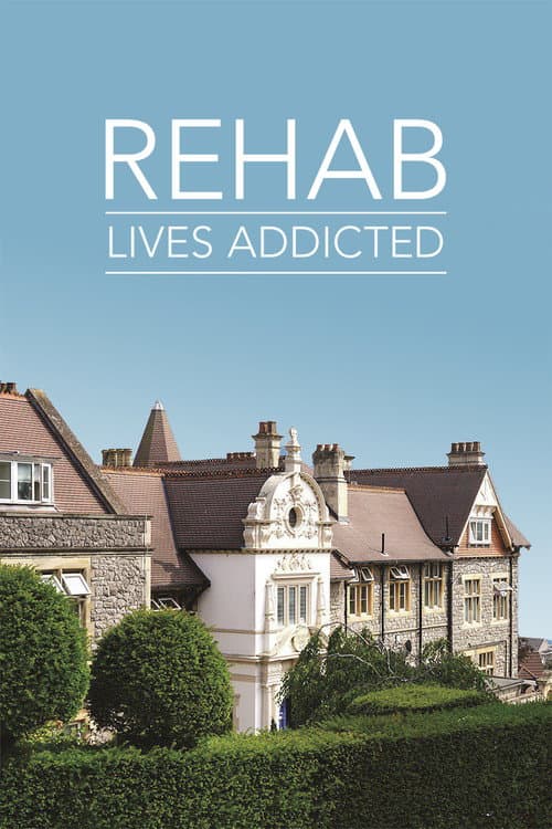 Постер до фільму «Rehab: Lives Addicted»