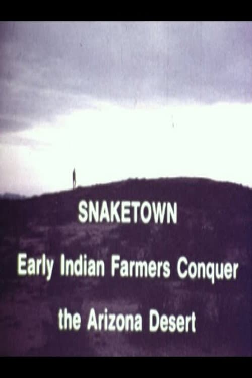 Poster for Snaketown- Early Indian Farmers Conquer the Arizona Desert