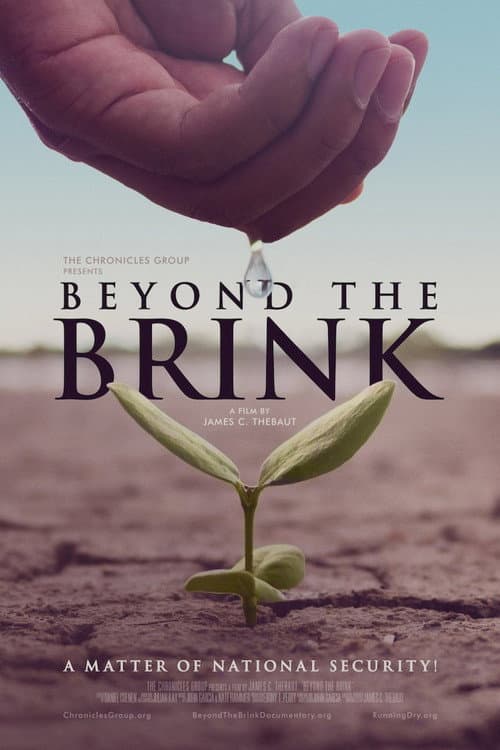 Poster for Beyond the Brink
