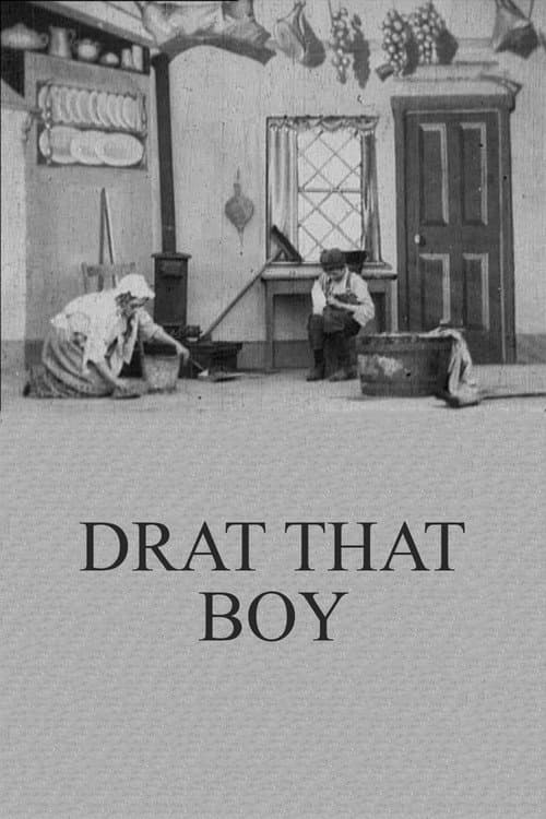 Poster for Drat That Boy!