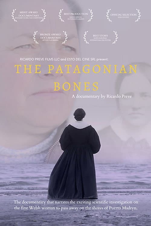 Poster for The Patagonian Bones