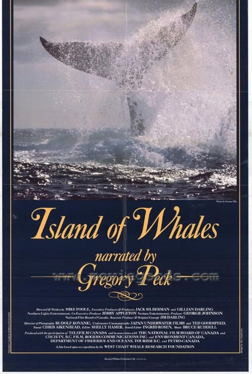 Poster for Island of Whales