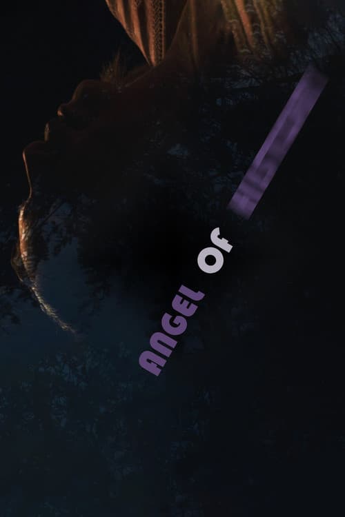 Poster for Angel of History
