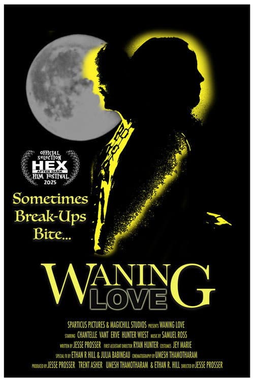 Poster for Waning Love