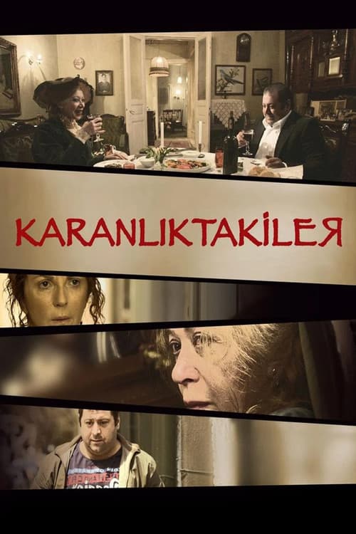 Poster for In Darkness