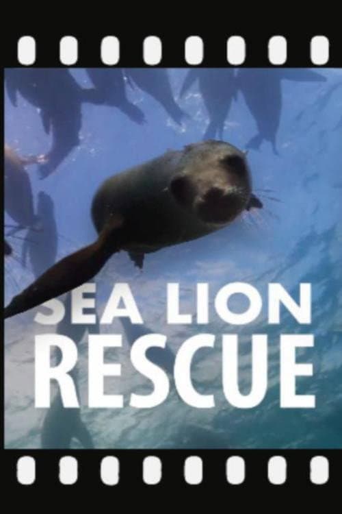 Poster for Sea Lion Rescue