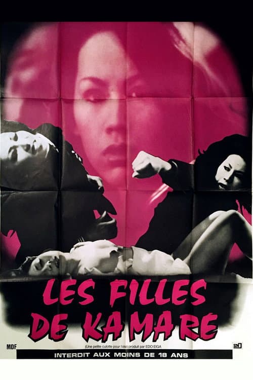 Poster for The Girls of Kamare