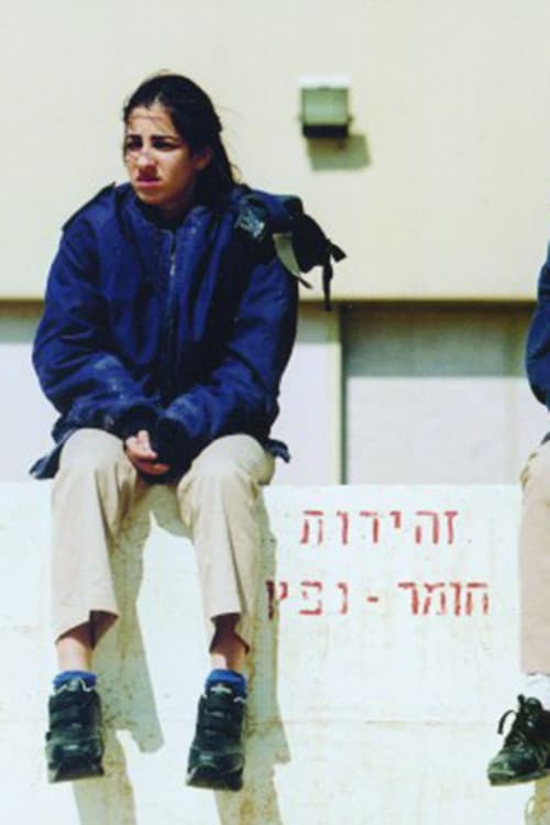 Poster for The Substitute