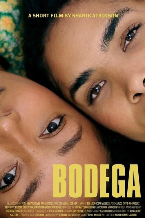 Poster for Bodega