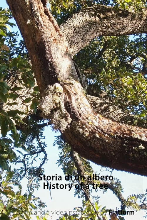 Poster for History of a Tree