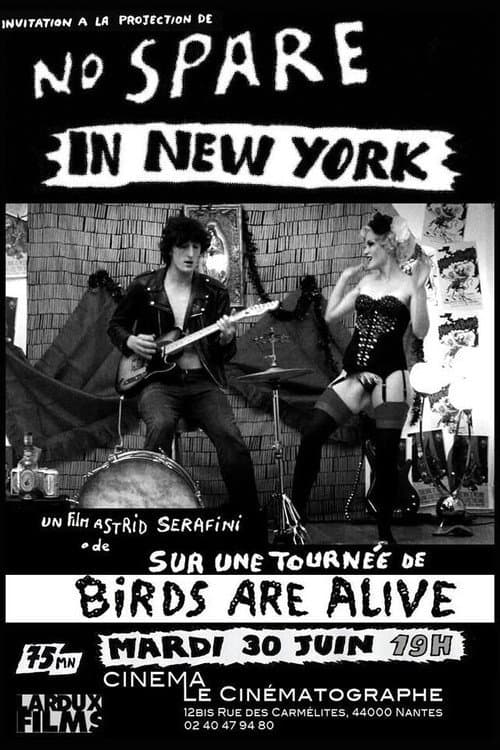 Poster for No Spare in New-York
