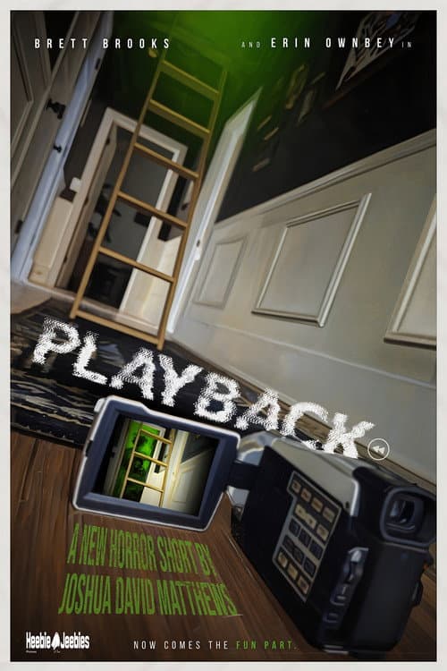 Poster for Playback