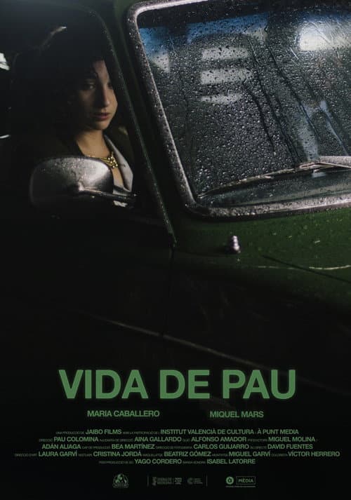 Poster for Vida de pau