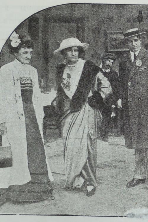 Poster for Mother-in-law in the Harem