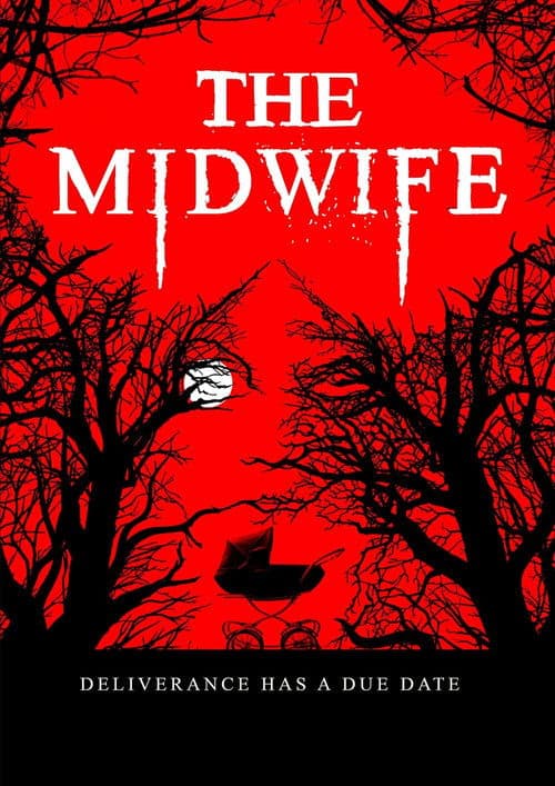 Poster for The Midwife