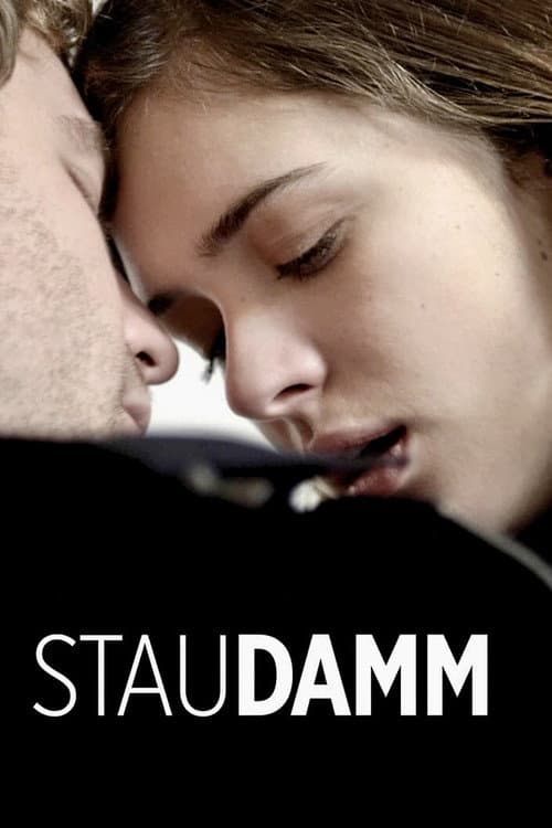 Poster for Staudamm