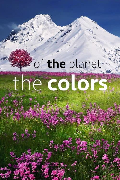 Poster for The Colors of the Planet