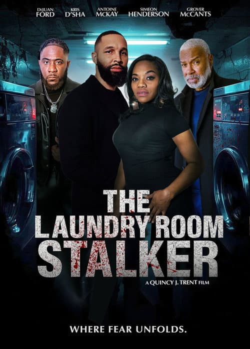 Poster for The Laundry Room Stalker