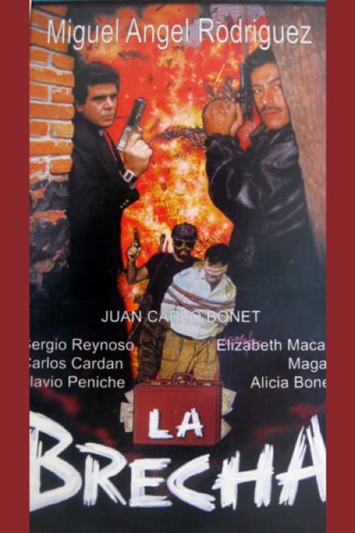 Poster for La brecha