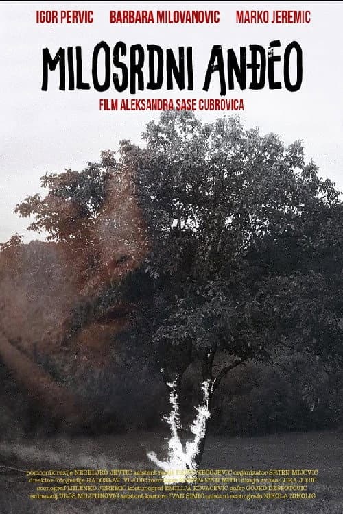 Poster for Merciful Angel
