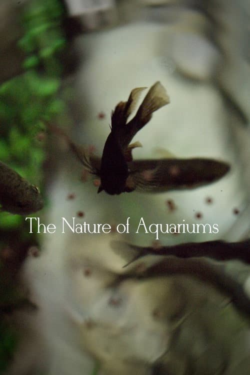 Poster for The Nature of Aquariums