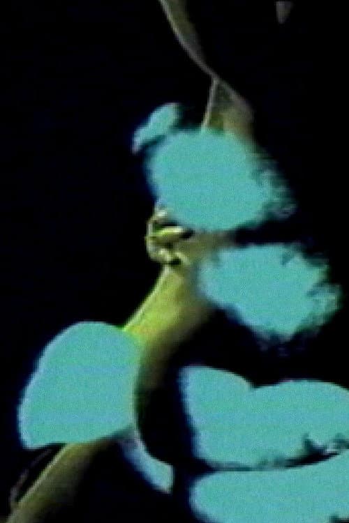 Poster for Letter to a Lover
