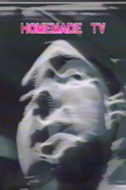 Poster for Homemade TV: Vasulkas II
