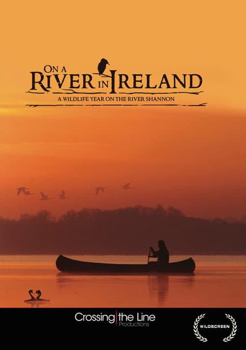 Poster for On a River in Ireland