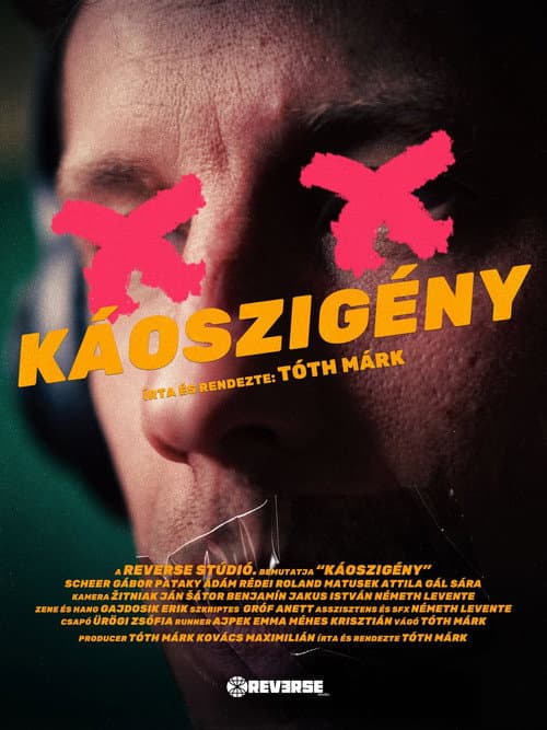 Poster for Chaos Exigency