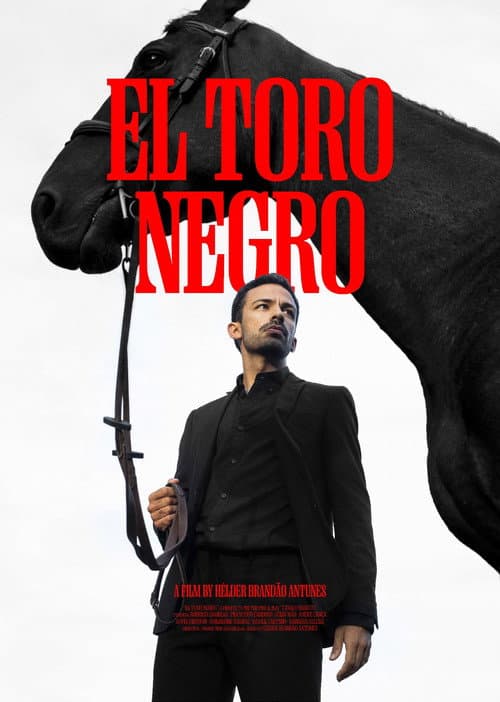 Poster for El Toro Negro